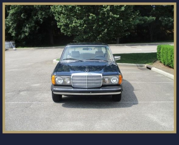 1980 Blue Mercedes-Benz 300-Series Sedan