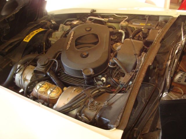 1982 White with red pinstriping Chevrolet Corvette Coupe