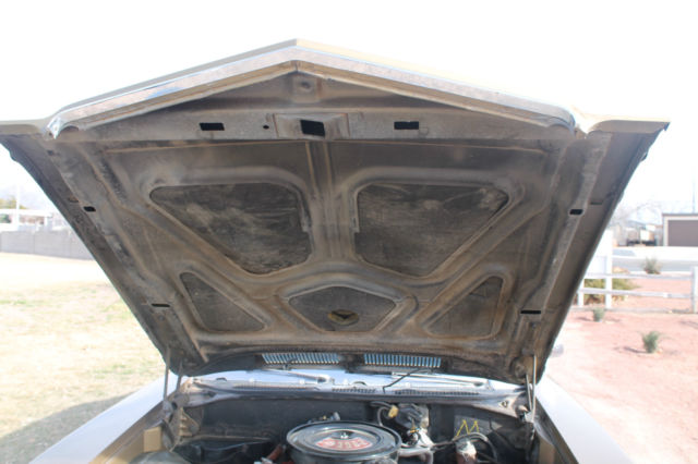 1970 Gold Buick Skylark Hardtop