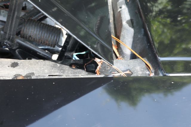 1965 Black Ford Mustang Coupe