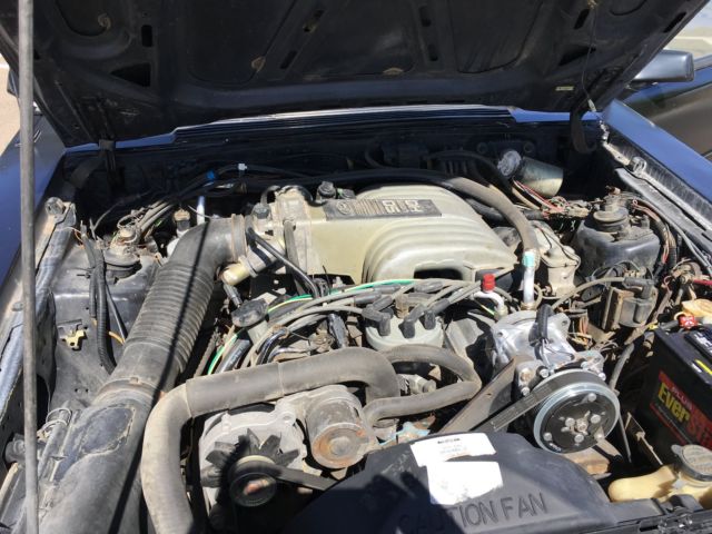 1986 Black & White Ford Mustang Coupe