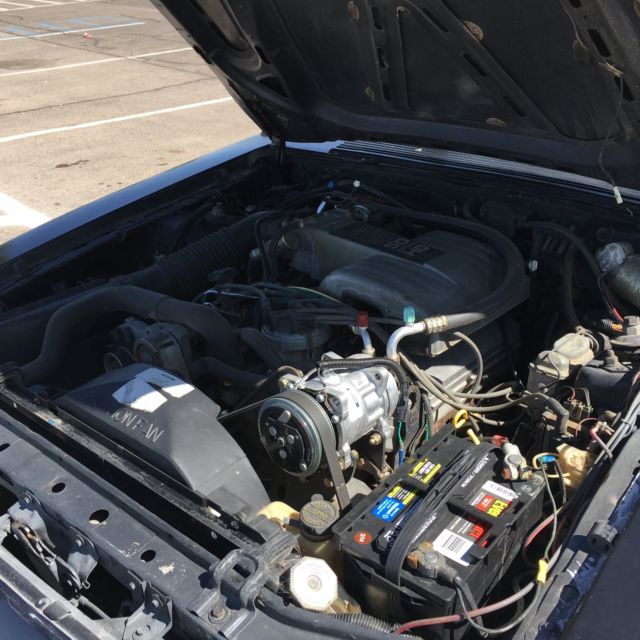 1986 Black & White Ford Mustang Coupe