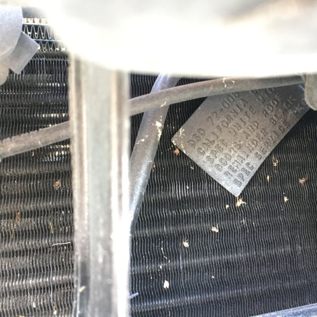 1986 Black & White Ford Mustang Coupe