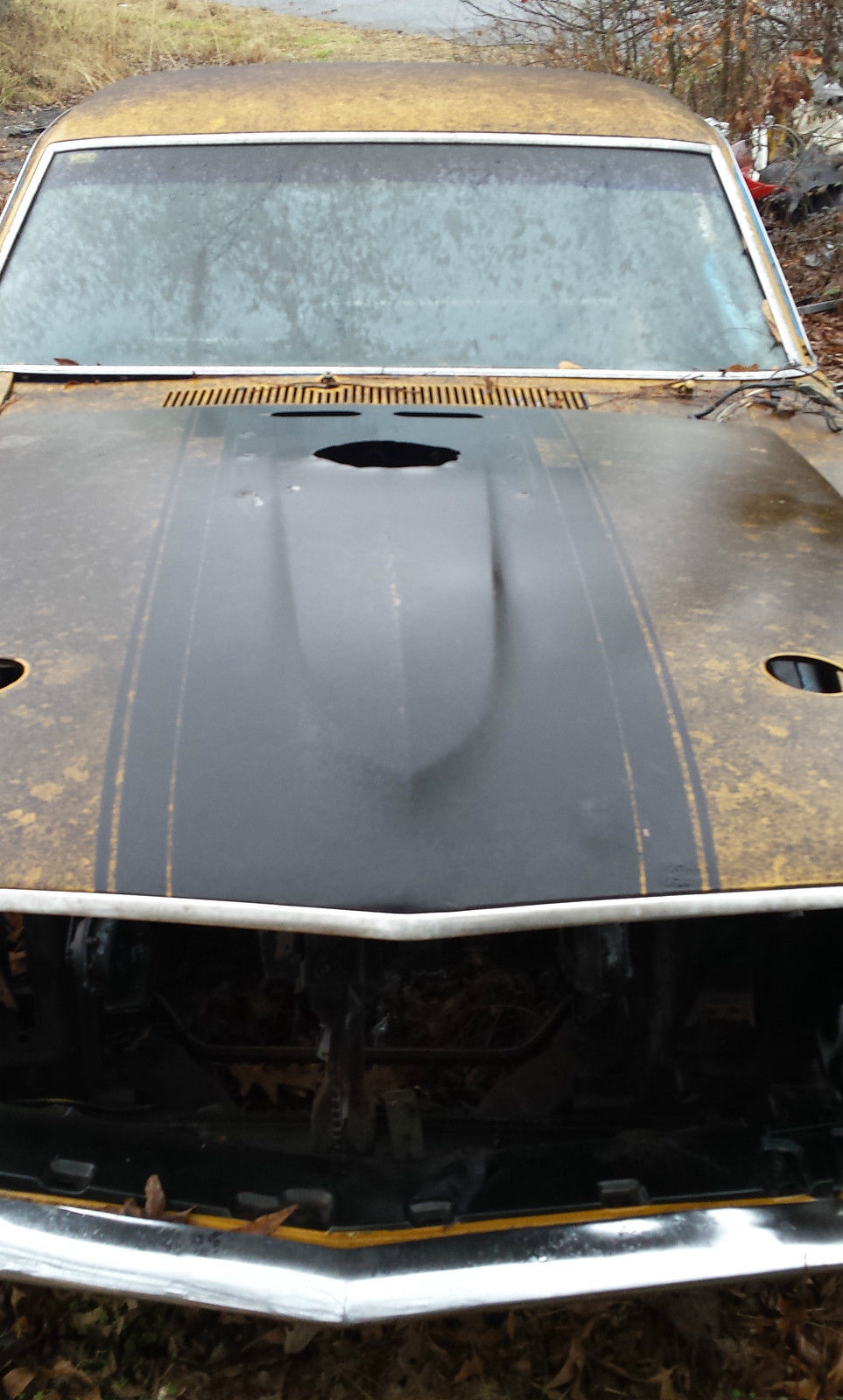 1970 Gold Ford Mustang