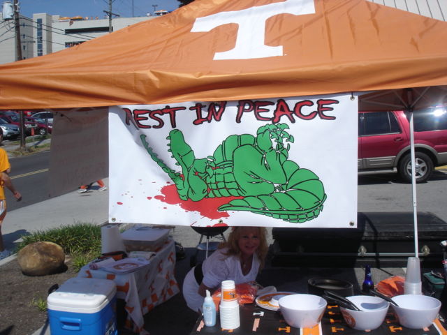 1985 CUSTOM Cadillac Fleetwood HEARSE