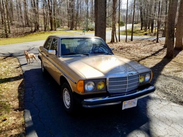 1981 Tan Mercedes-Benz 300-Series Sedan