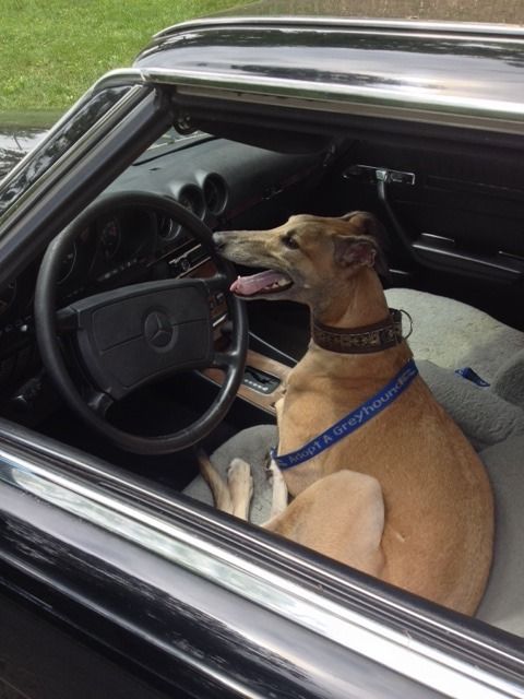 1988 Black Mercedes-Benz SL-Class Convertible