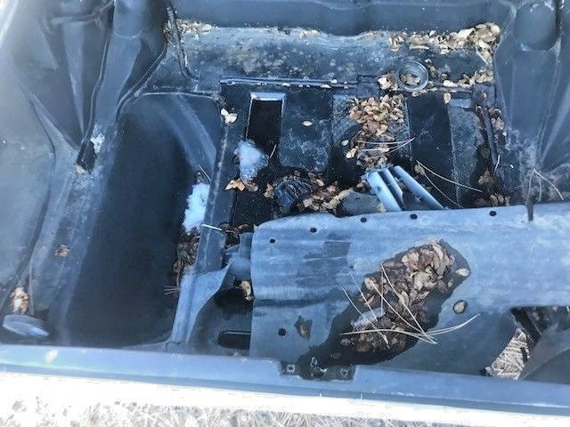 1965 Mercedes-Benz Other