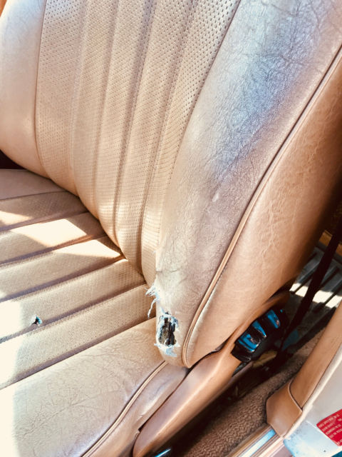 1982 Tan Mercedes-Benz 200-Series Sedan 4 Door