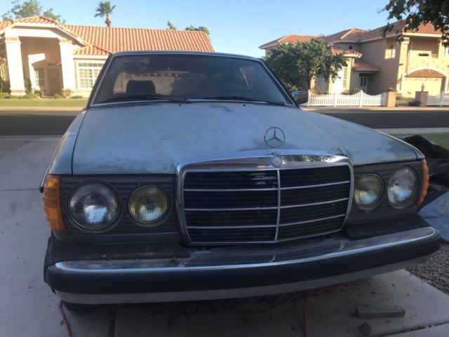 1982 Silver Mercedes-Benz 300-Series Coupe