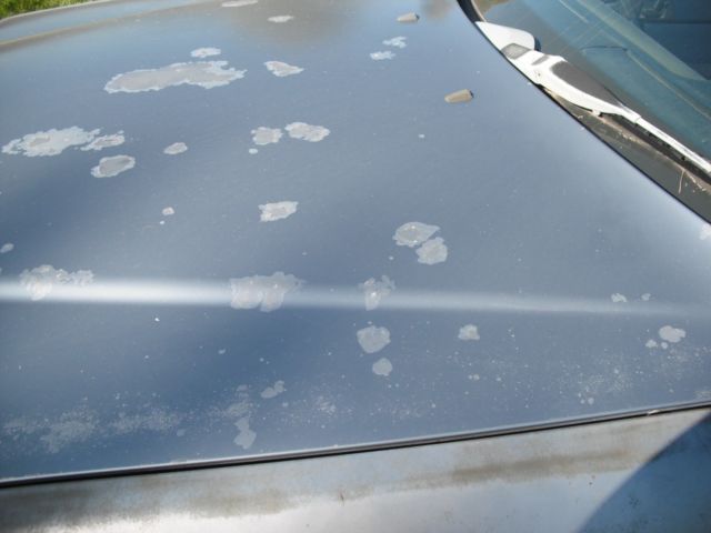 1986 Diamond blue paint code 355 Mercedes-Benz 300-Series Sedan