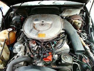 1981 silver mist Mercedes-Benz SL-Class convertible