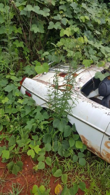 1977 MG MGB