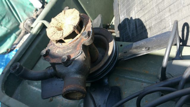 1952 Green Willys M38 willys