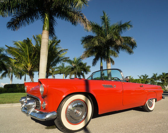 1955 Red Ford Thunderbird Convertible