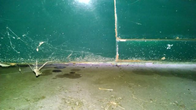 1968 Dark Green Ford Mustang Coupe