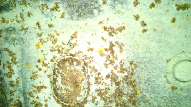 1968 Dark Green Ford Mustang Coupe