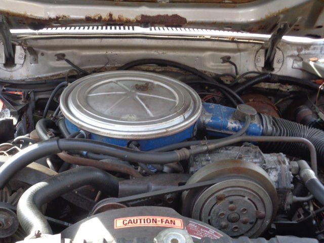 1977 Silver Ford Mustang Coupe