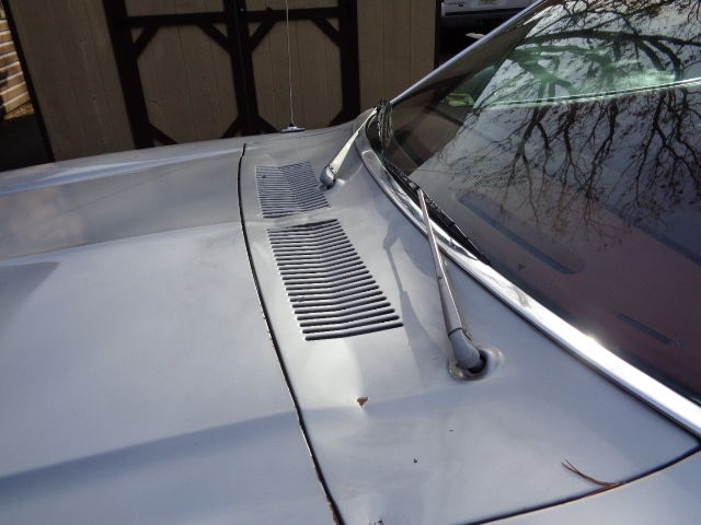 1977 Silver Ford Mustang Coupe