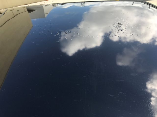 1990 Black Ford Mustang Hatchback