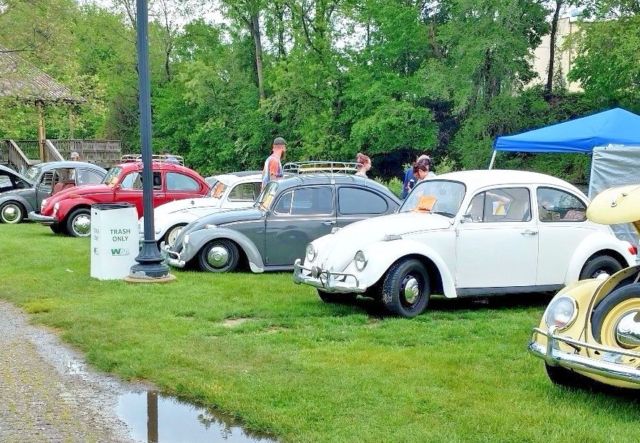 1971 Pearl White Volkswagen Beetle - Classic Coupe