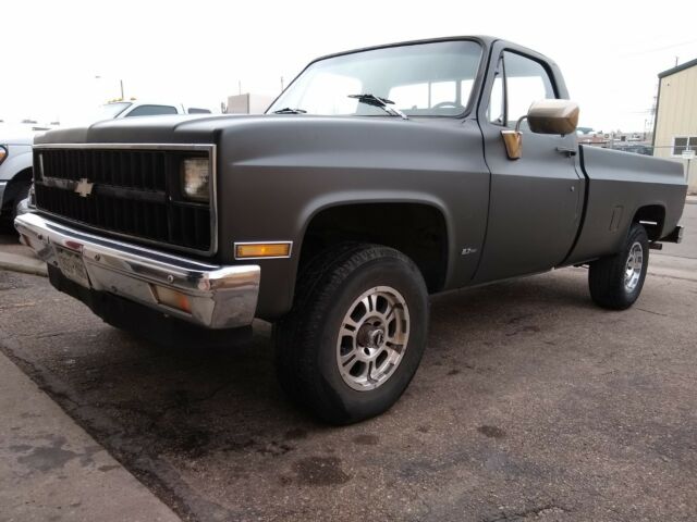 1982 Black Chevrolet C/K Pickup 1500 Standard Cab Pickup