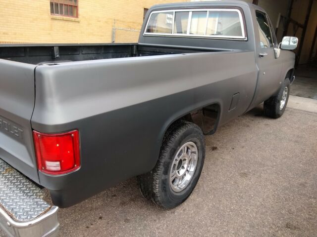 1982 Black Chevrolet C/K Pickup 1500 Standard Cab Pickup