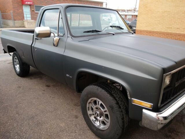 1982 Black Chevrolet C/K Pickup 1500 Standard Cab Pickup