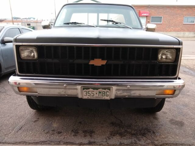 1982 Black Chevrolet C/K Pickup 1500 Standard Cab Pickup