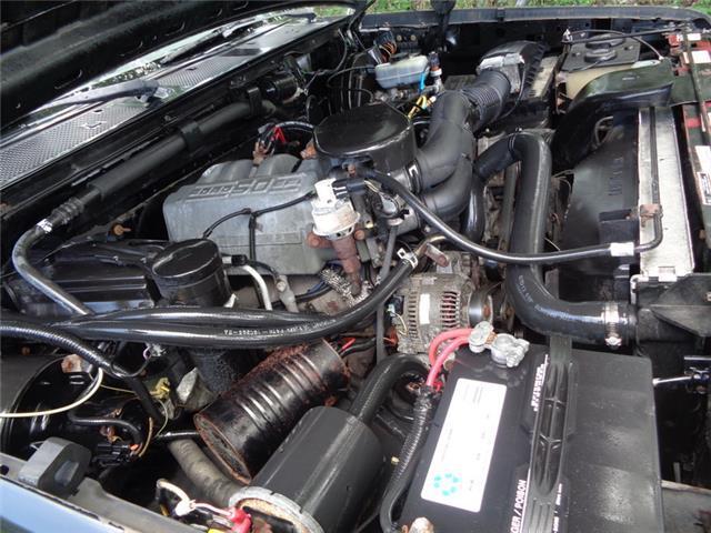 1994 Black Ford Bronco --