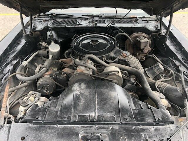 1980 Black Pontiac Firebird Coupe