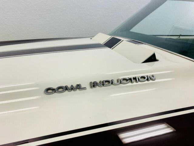 1970 Dark Cherry Chevrolet Chevelle Coupe