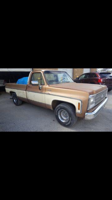 1980 Brown/ Tan Chevrolet C-10 Standard Cab Pickup