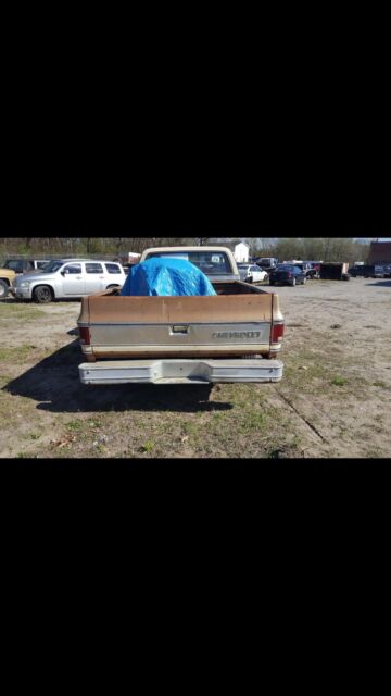 1980 Brown/ Tan Chevrolet C-10 Standard Cab Pickup