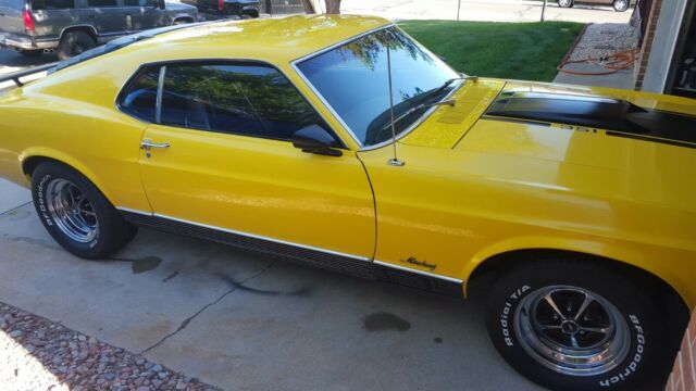 1970 Ford Mustang Fastback