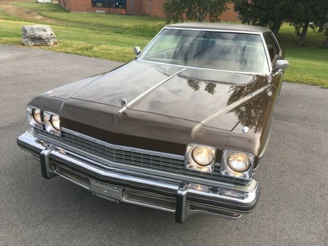 1974 Brown Buick Electra Sedan