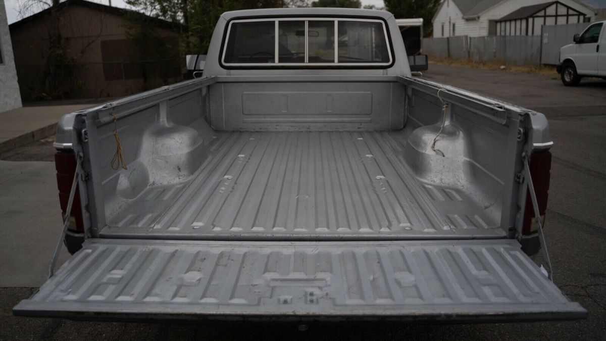 1981 Silver Ford F-150 Standard Cab Pickup