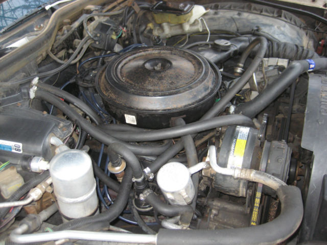 1984 White Oldsmobile Custom Cruiser Wagon