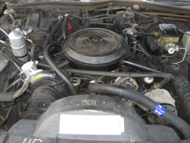 1984 White Oldsmobile Custom Cruiser Wagon