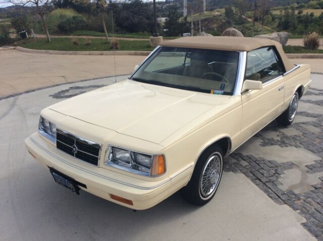 1986 Light Ivory Cream Dodge 600 Convertible