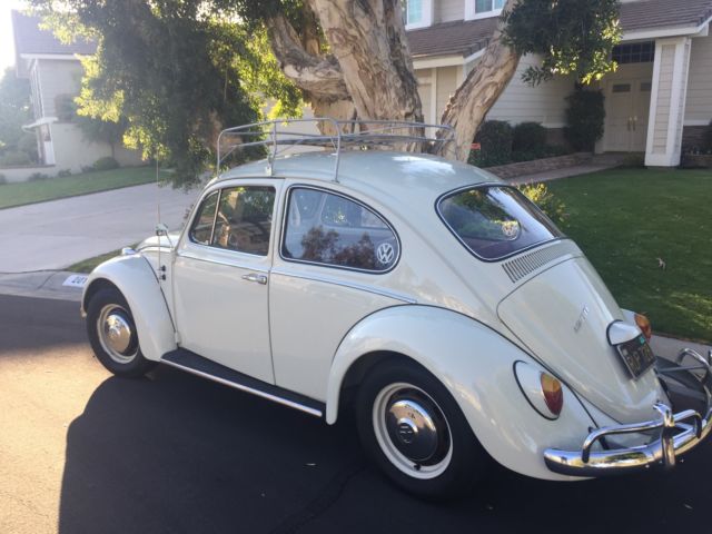 1966 Volkswagen Beetle - Classic
