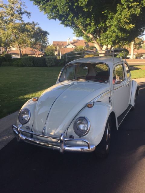 1966 Volkswagen Beetle - Classic