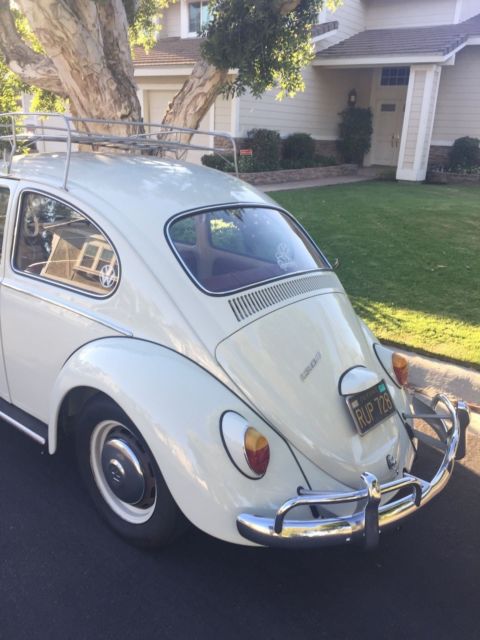 1966 Volkswagen Beetle - Classic