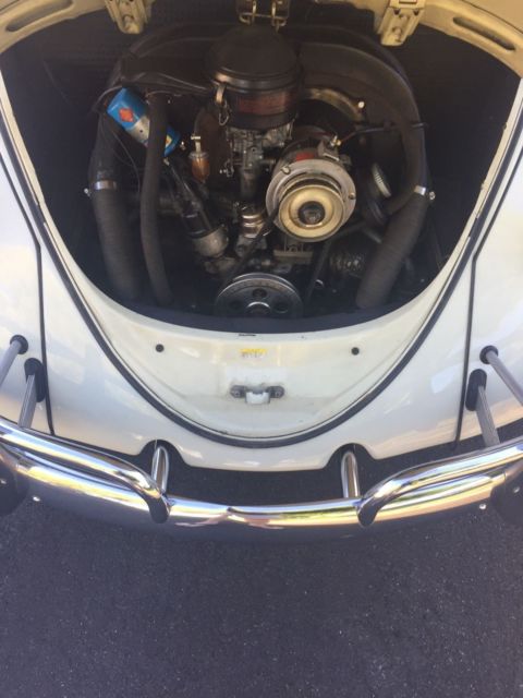 1966 Volkswagen Beetle - Classic