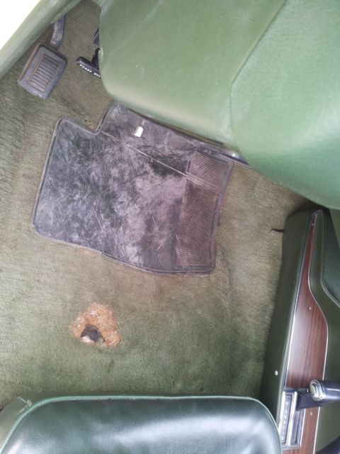 1973 Green Dodge Charger Coupe