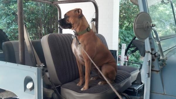 1971 Toyota Land Cruiser