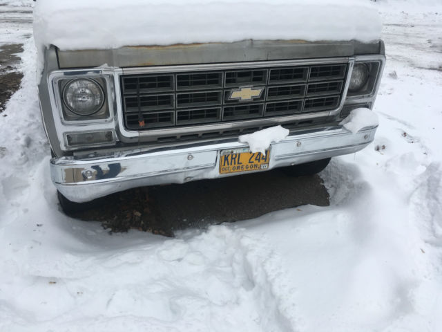 1979 Black/Silver Chevrolet C-10