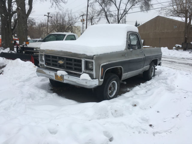 1979 Black/Silver Chevrolet C-10