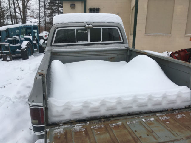 1979 Black/Silver Chevrolet C-10