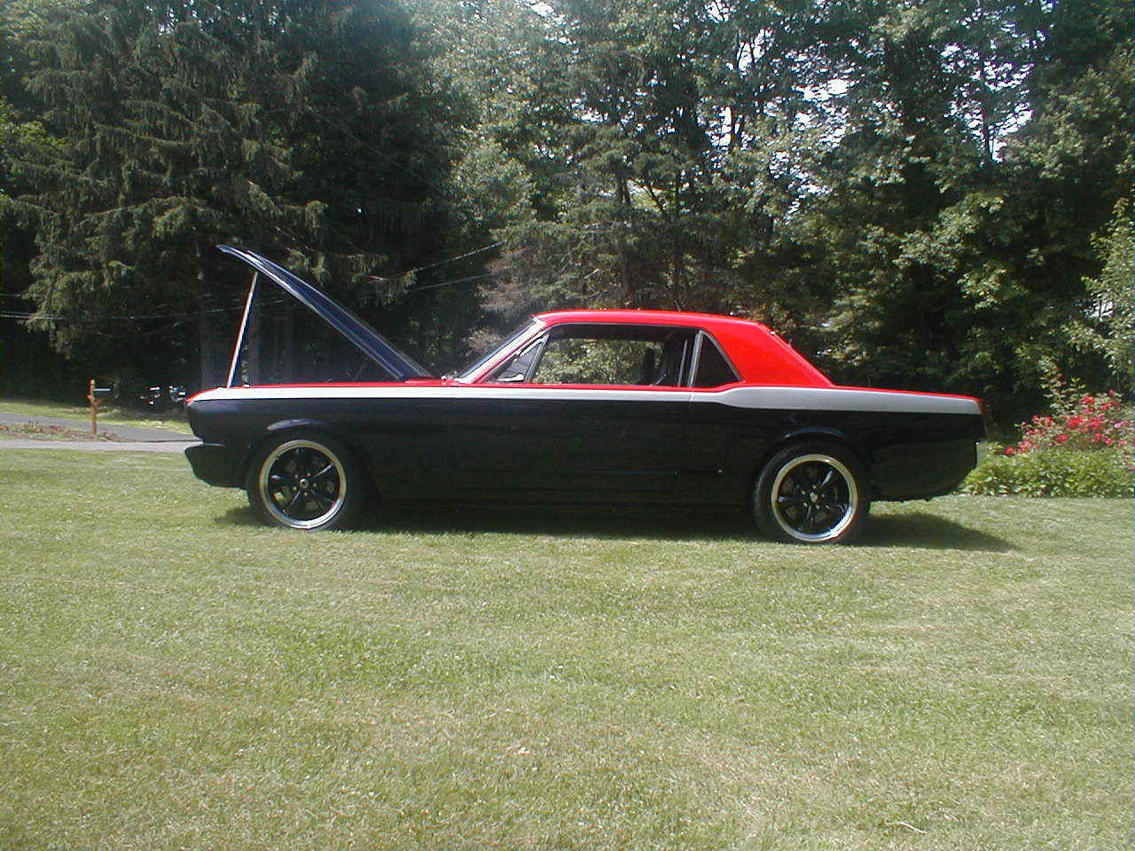 1966 Black/Red Ford Mustang Coupe